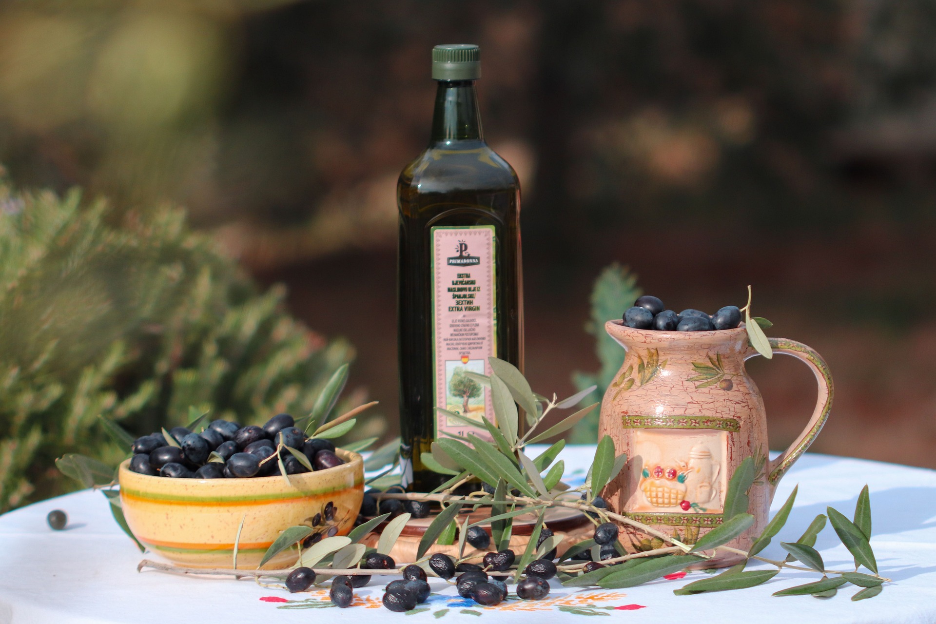 Olive oil – The Golden Drop of Istria